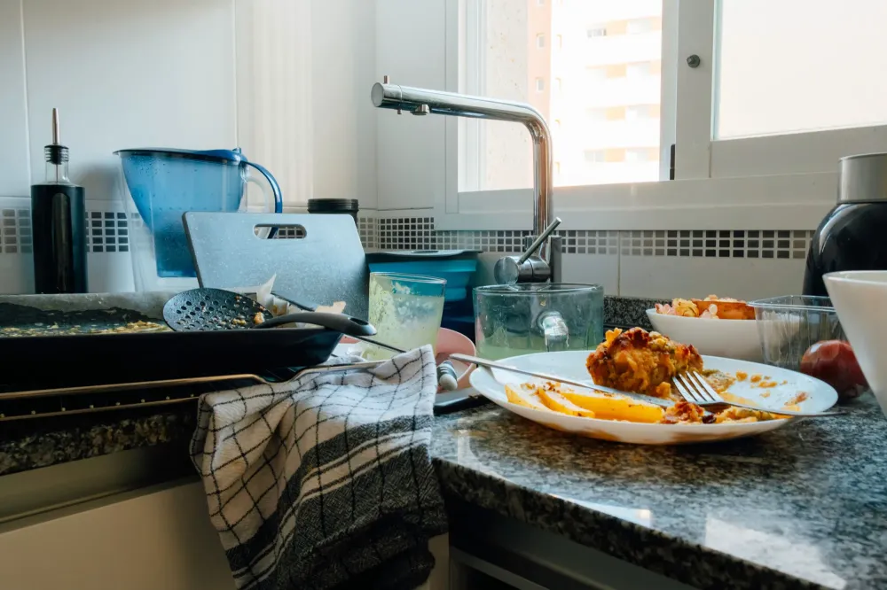 Nettoyage du syndrome de Diogène (2)webp